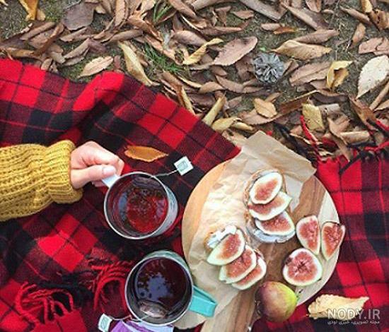 متن در مورد چایی برای استوری