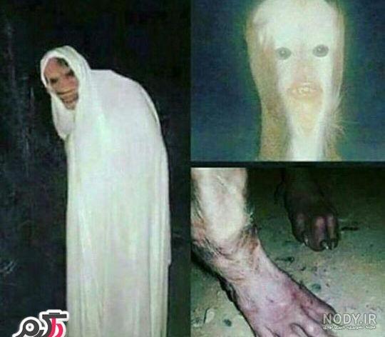 عکس از عروسی جن ها عکس از عروسی جن ها