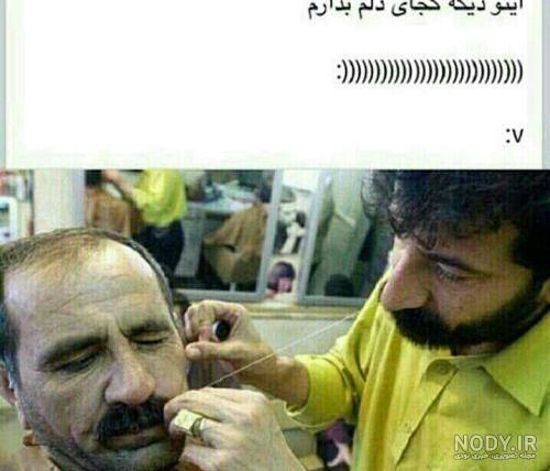 عکس طنز جوجه اردک زشت
