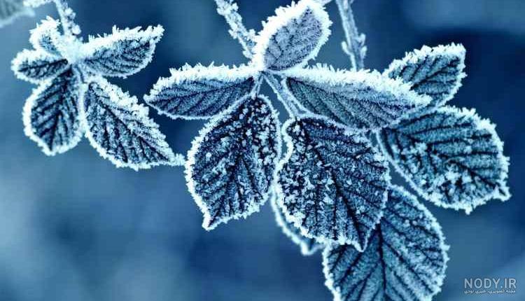 عکس پروفایل زمستانی فانتزی