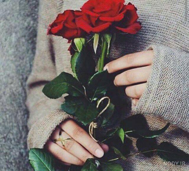 عکس گل بدون نوشته عکس گل بدون نوشته