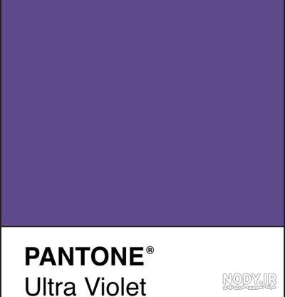 عکس خفن عکس بنفش ساده