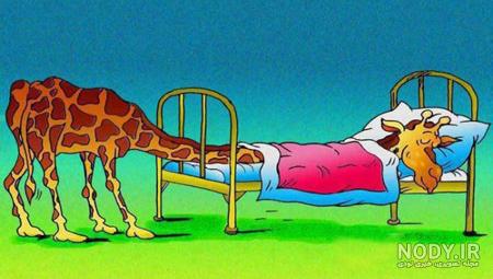  عکس زرافه کیوت