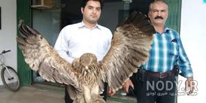 اثر تاریخی مازندران اثر تاریخی مازندران