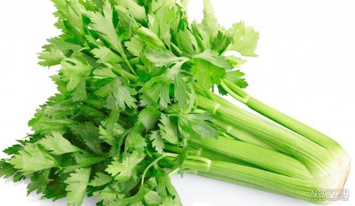 طرز تهیه اب کرفس برای لاغری
