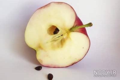 عکس سبزه عید با هسته سیب