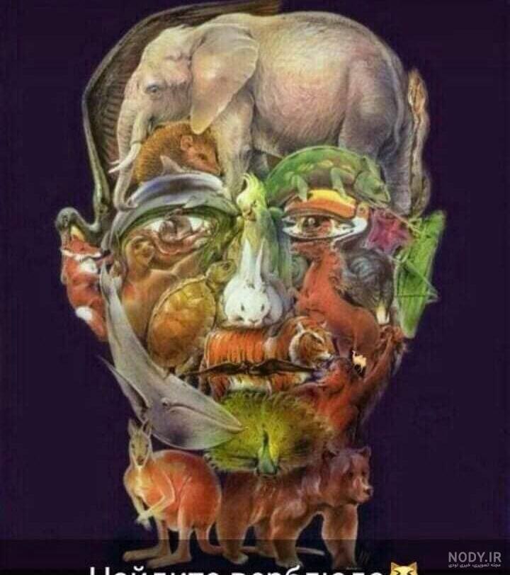 عکس شتر پیدا کنید