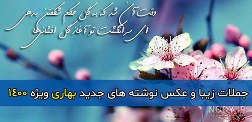 عکس پروفایل بهاری بدون متن عکس پروفایل بهاری بدون متن