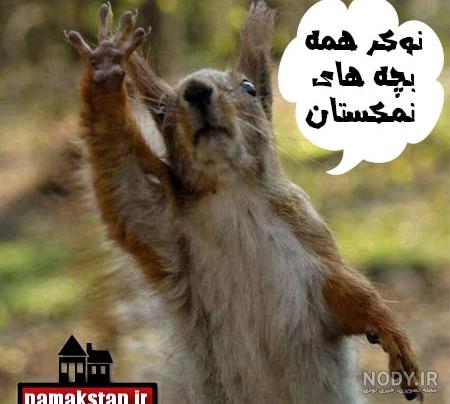 عکس پروفایل حیوانات فانتزی عکس پروفایل حیوانات فانتزی