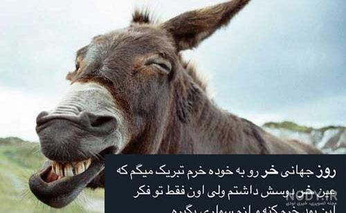 عکس پروفایل حیوانات ناز عکس پروفایل حیوانات ناز