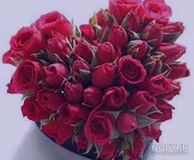 عکس گل زیبا عکس گل زیبا