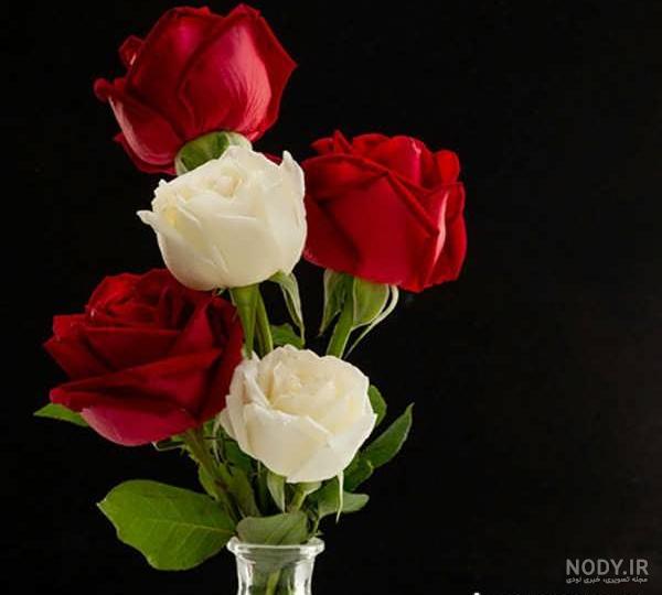 عکس گل های زیبا