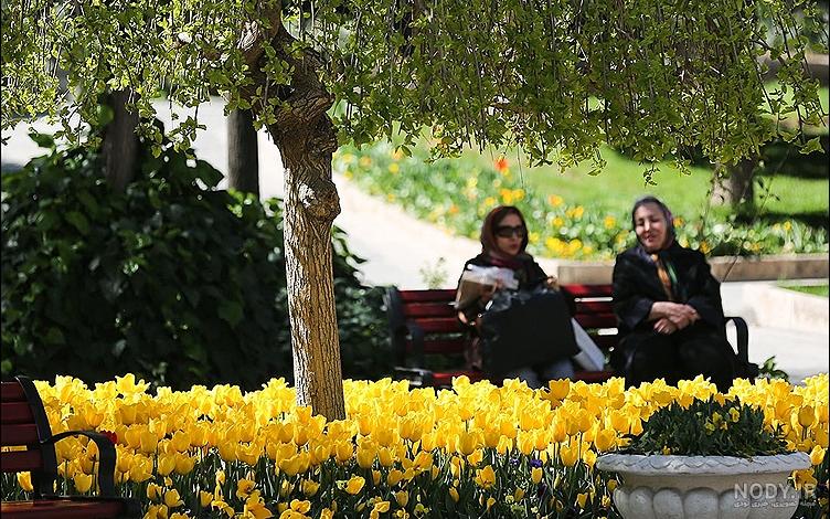 قشنگترین عکس طبیعت قشنگترین عکس طبیعت