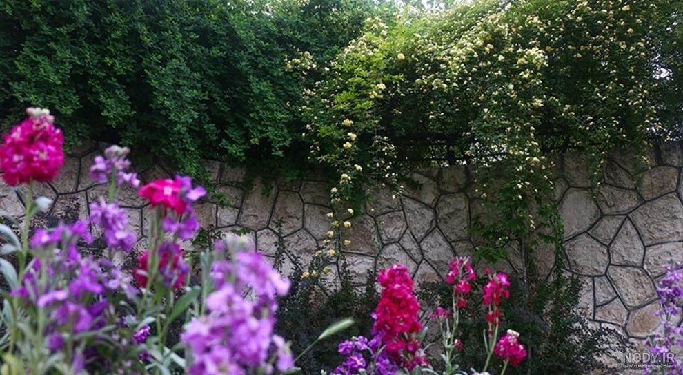 متن هوای بهاری متن هوای بهاری