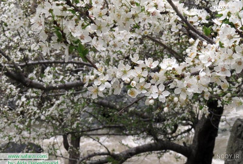 هوای بهاری چگونه است هوای بهاری چگونه است