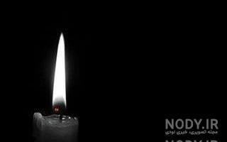 گل رز مشکی هلندی گل رز مشکی هلندی