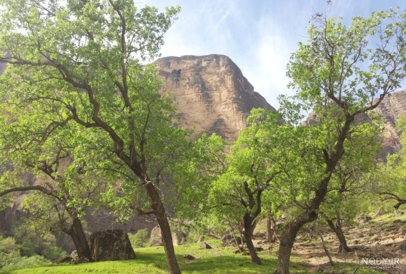 گنج کلماکره