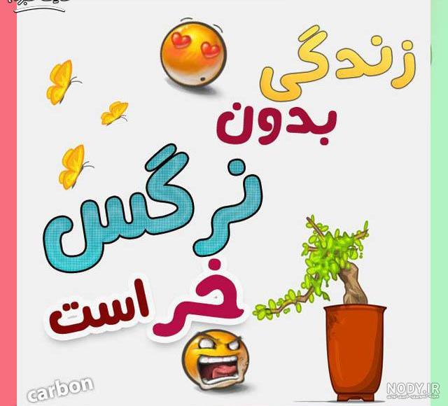 عکس تولد نام نرگس