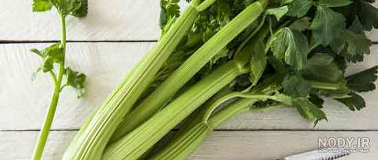 انواع کرفس کوهی