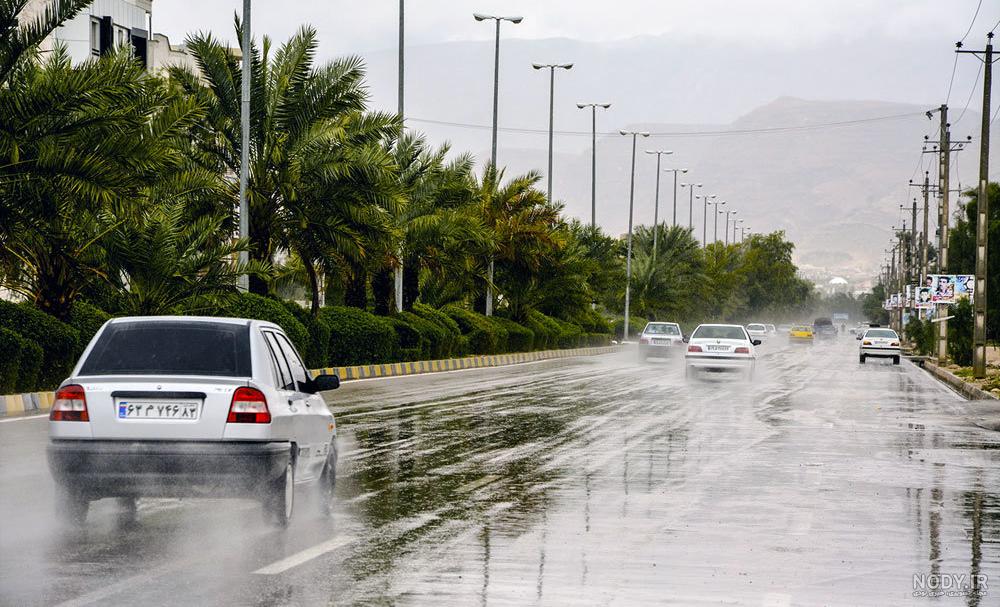 تخته شاسی شیراز
