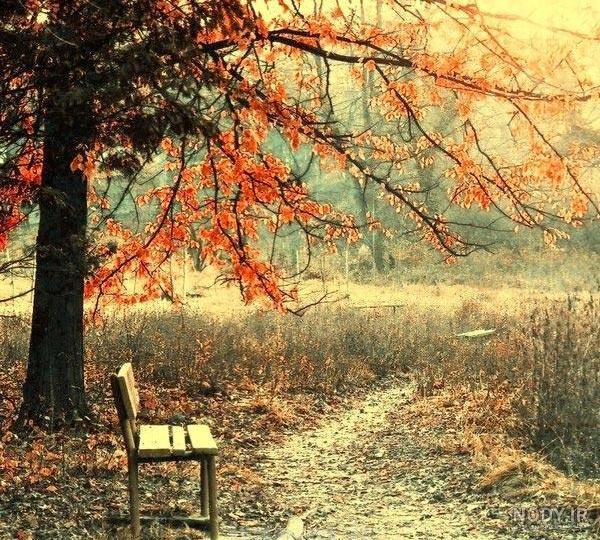 تصویر زمینه گوشی لمسی دخترانه