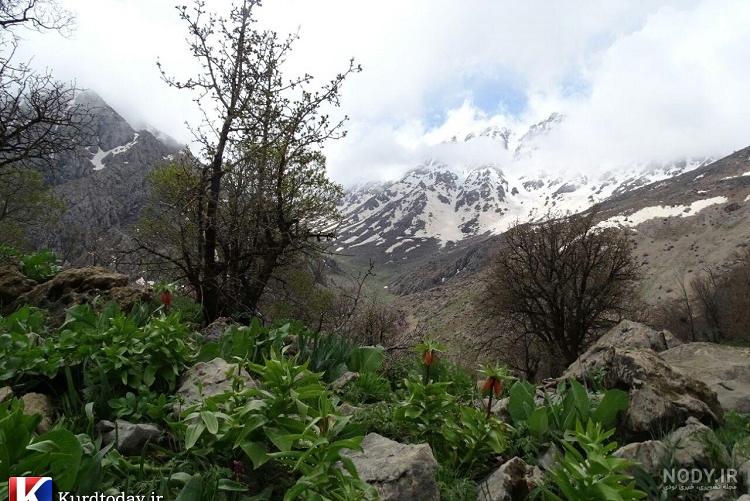 جاذبه طبیعی ایران