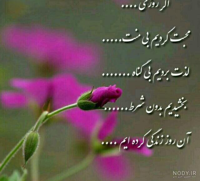 جملات زیبای تصویری