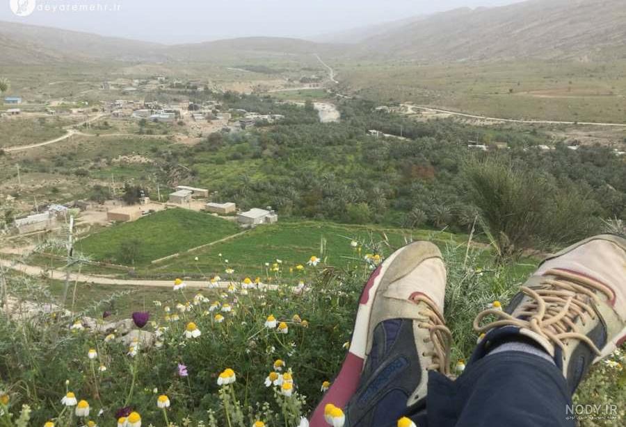 دانلود عکس طبیعت