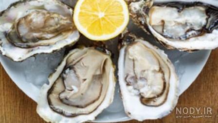 طرز نگهداری صدف خوراکی