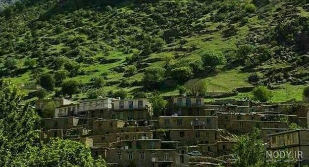 عکس از طبیعت واقعی