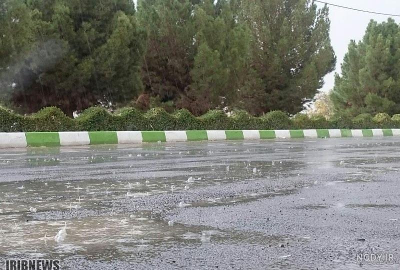 عکس باران بوشهر