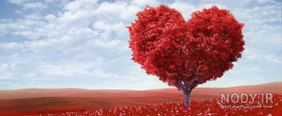 عکس نوشته ولنتاین مبارک همسرم