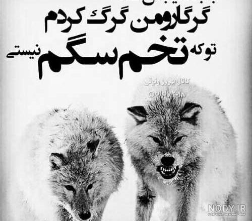 عکس پروفایل پسرانه لاتی عکس پروفایل پسرانه لاتی