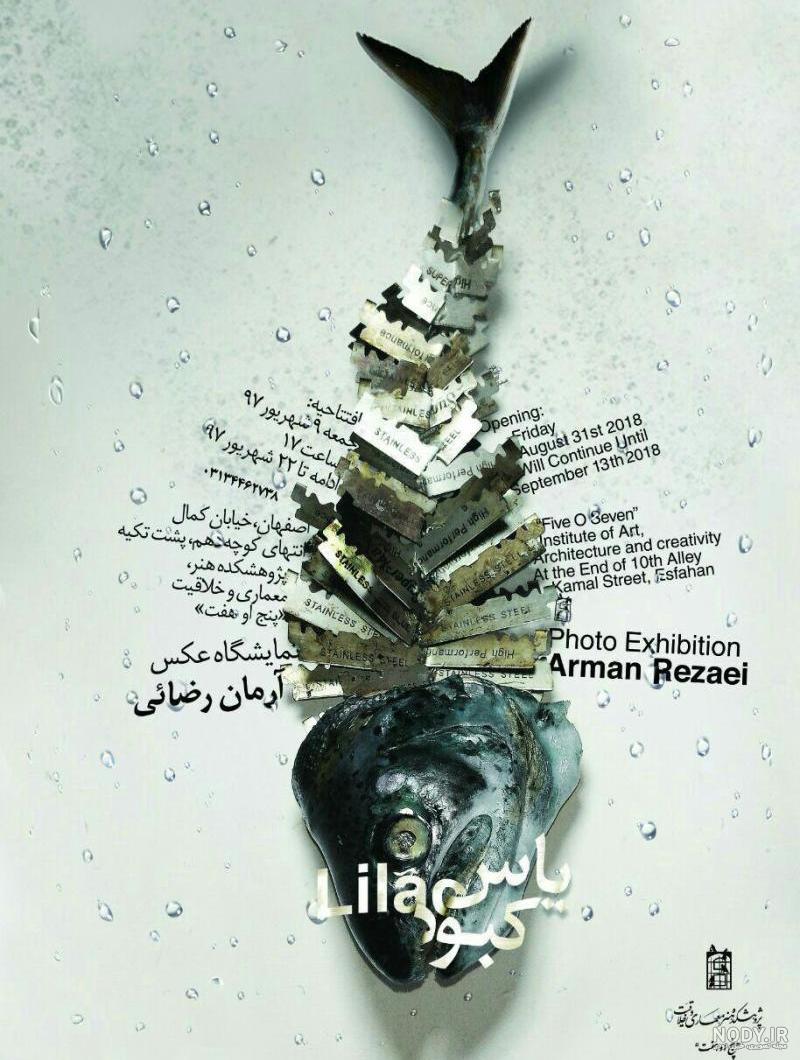 عکس گل یاس زیبا