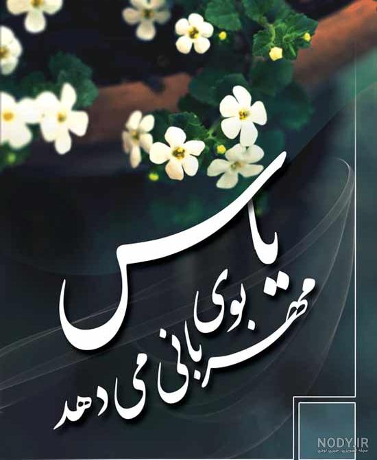 عکس گل یاس کبود