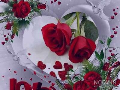 عکس گلهای زیبای جهان عکس گلهای زیبای جهان
