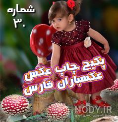 فروش شاسی عکس در شیراز