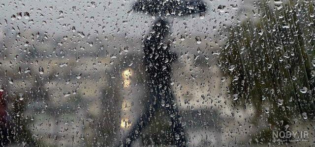 قیمت عکس روی شاسی در شیراز