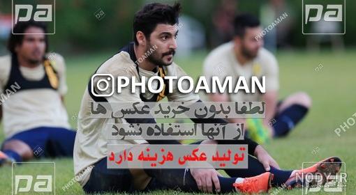 مس رفسنجان ویکی پدیا مس رفسنجان ویکی پدیا