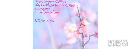 پیج اینستاگرام شروین نجفیان