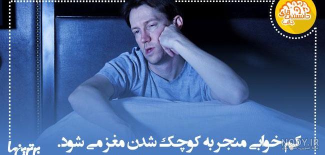 دانستنی های جالب جدید دانستنی های جالب جدید