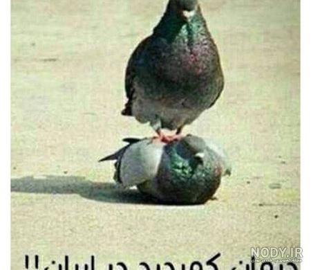 عکس خنده دار و جالب