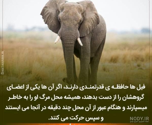 عکس علمی برای پروفایل عکس علمی برای پروفایل