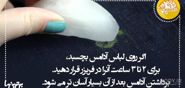 عکس علمی جالب عکس علمی جالب
