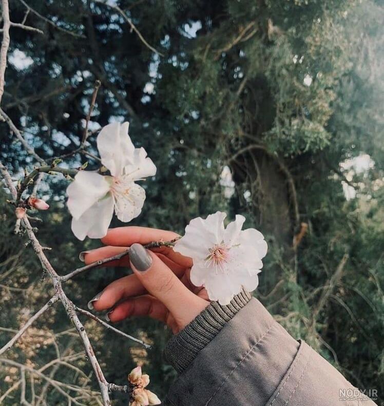 عکس پروفایل دخترونه شیک بدون متن دار