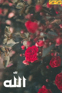 عکس متحرک الله