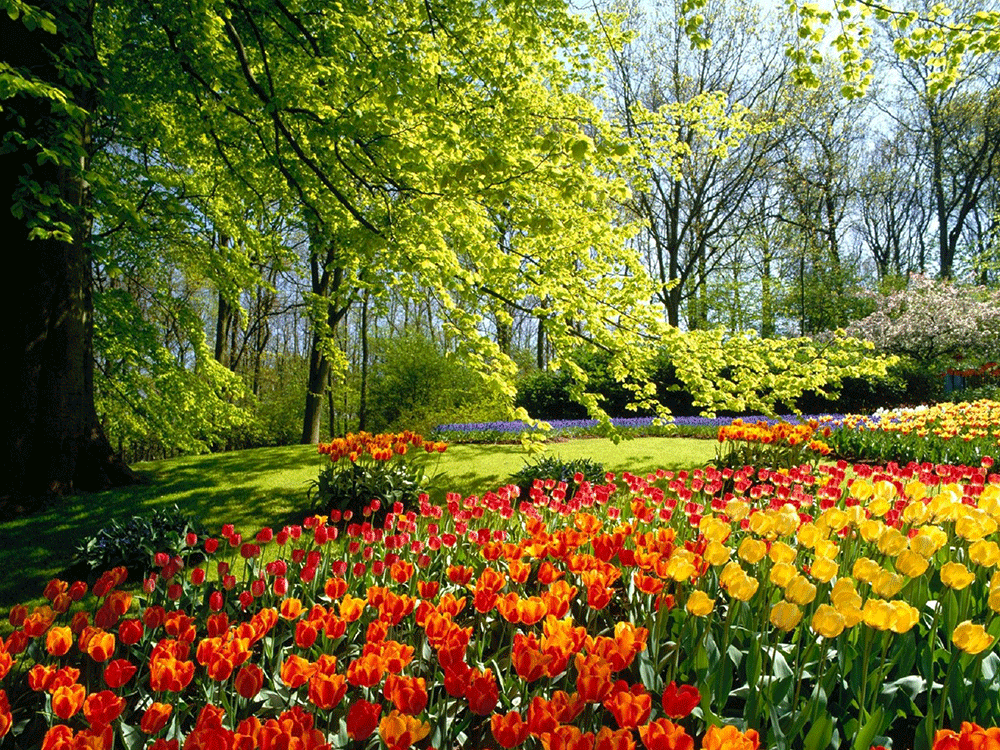 تصاویر طبیعت زیبای ایران