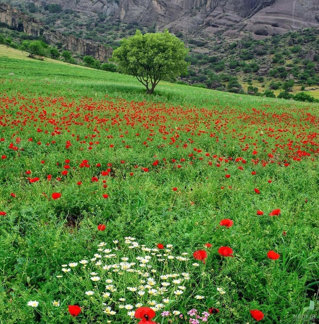 تصویر زمینه موبایل لمسی تصویر زمینه موبایل لمسی