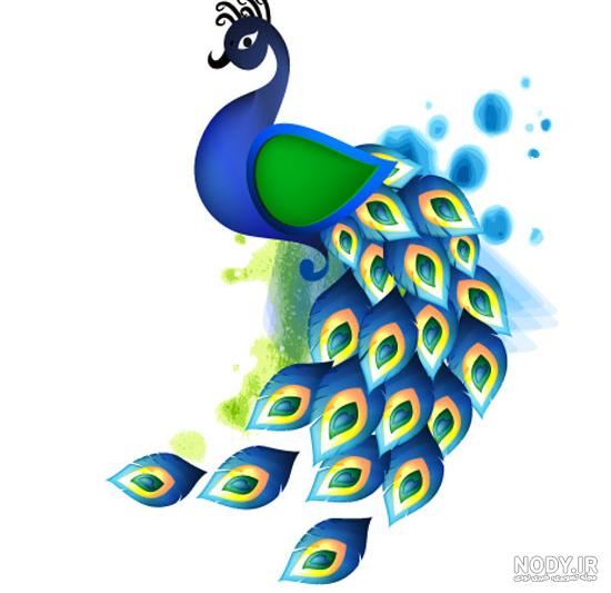 دانلود عکس طاووس دانلود عکس طاووس