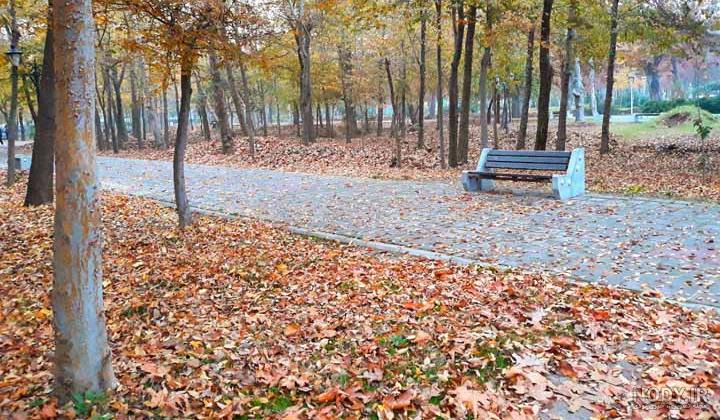 دریای رشت دریای رشت